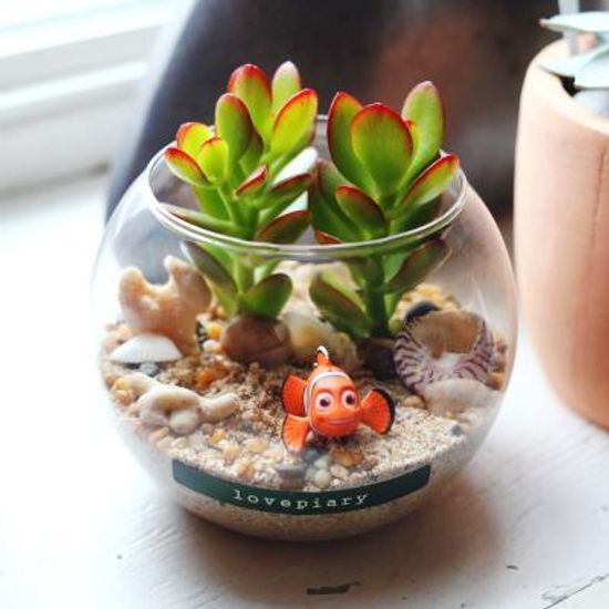 바다 속 친구들 피규어 테라리움 다육식물 미니화분