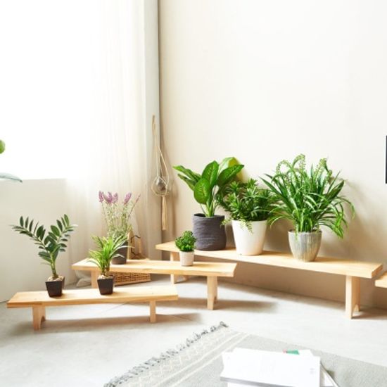 원목 화분진열대(중형) 다육이선반