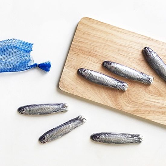Filet de Sardines 정어리 초콜릿
