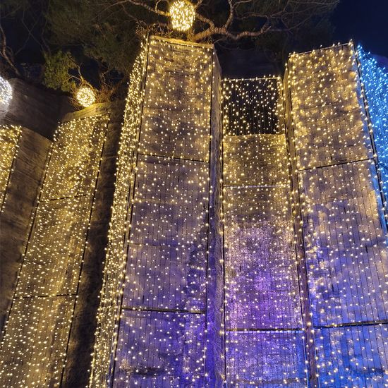 [도토로]  500구 검정선 LED 웜색 지니전구(50M) (전