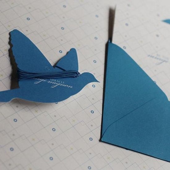 디비디 빌리지 박스 - Bird (Medium)