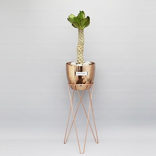 샤이니 화분 스탠드(H)-14.5(지름) x 60cm
