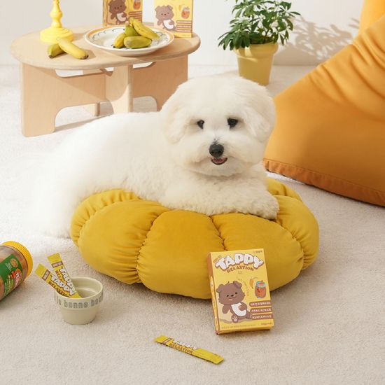 펫생각 하루조이 테피 타먹는 강아지 비타민 영양제 