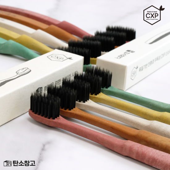CXP목재로 만든 탄소창고 칫솔 단품