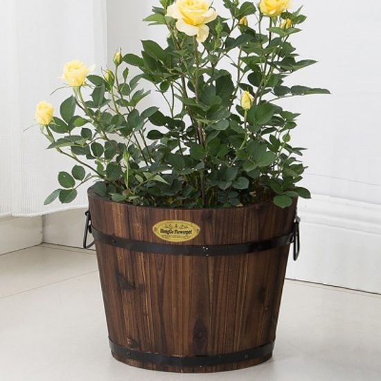 홈가든 빈티지 원목 화분 실내정원 화분커버 케이스