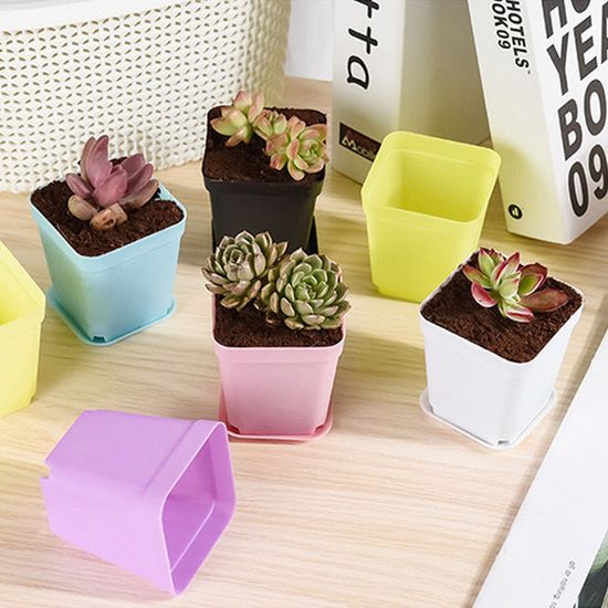 다육이 식물 화분 귀여운 사무실 책상 다육 H449-O