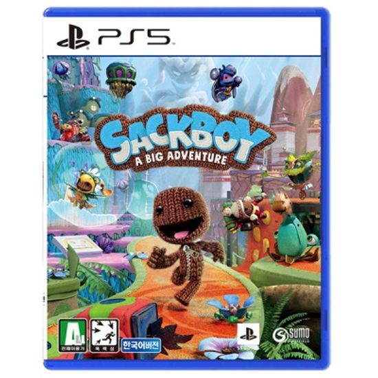 PS5 색보이 빅 어드벤처 / PS4 색보이 빅 어드벤처