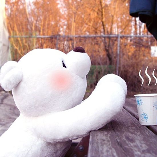 프리온 인체감지 온열인형 허그베어 PET-PA
