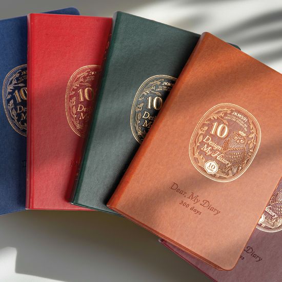 [JKM591] 디어, 마이 다이어리 300 Days