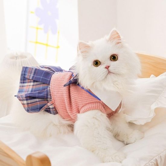 고양이 애완동물 의류 공주 치마 원피스 5SIZE