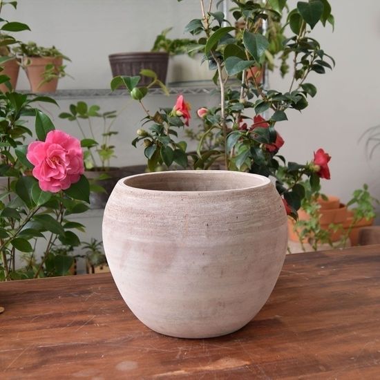 빈티지 초코 토분화분 단지 20x20cm(W9B5649)