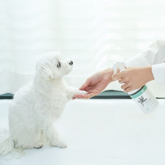 나무앤미 피톤치드 가득한 편백잎수액 탈취제 380ml 