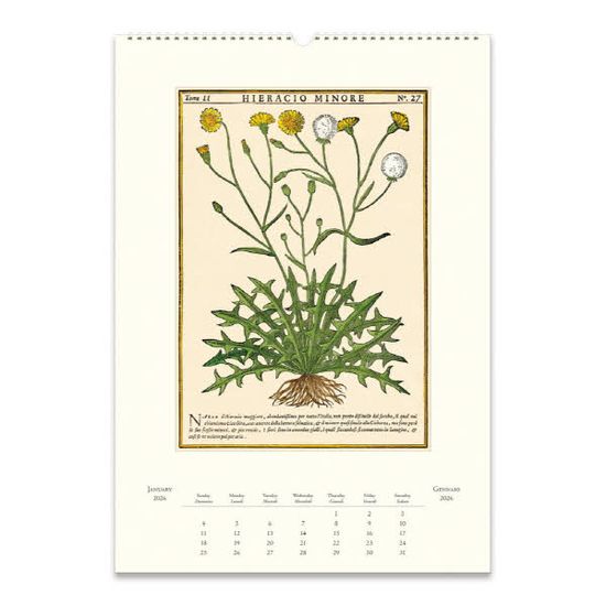 2026카발리니캘린더 Herbarium