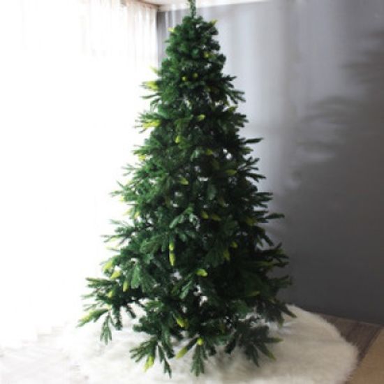 전나무 트리(무장식)