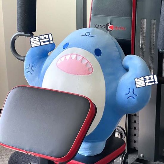 근육 상어 애착 인형 헬창 헬스 쿠션(WFHLGQK)