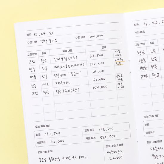 월간소비 플래너