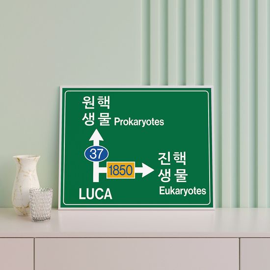 분기점: 공통 조상, 하이퍼펜션 작가 그림