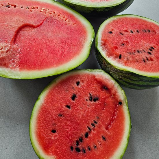 여름 제철 고당도 논산 꿀수박 7-8kg