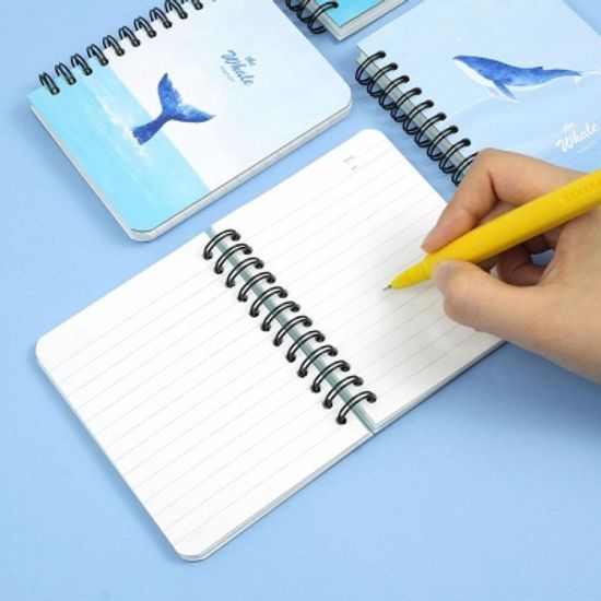 핑크풋 고래합지수첩