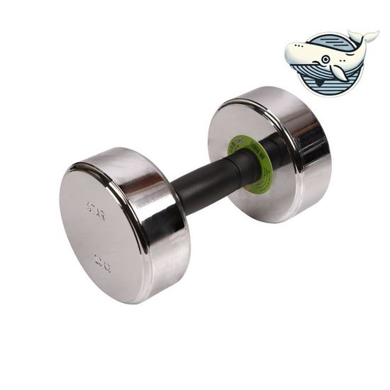 도금 바벨 10kg 홈트 직장인 체중 증가(WFHFHTB)