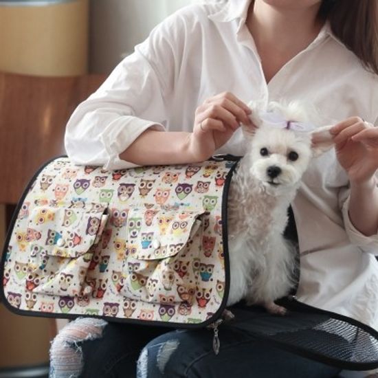 2015 New 애견 패션 이동장 - 부엉이 이동가방/강아지 가방/애견 가방