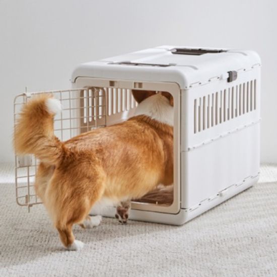 릿첼 접이식 이동장 강아지 고양이 이동가방 켄넬