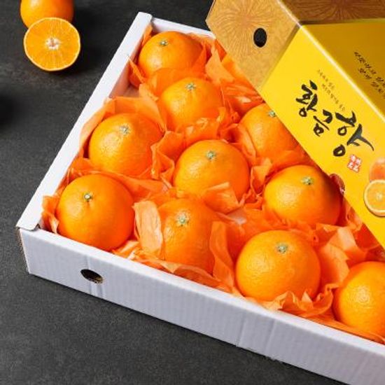 프리미엄 황금향 명절선물세트 5kg 대과 (12-19과)