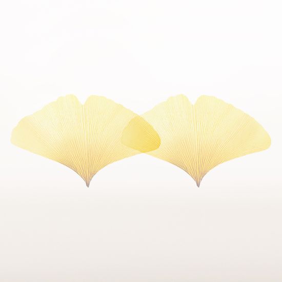 스티키리프_투명은행(Green,S)