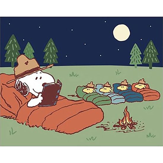 DIY 그림그리기 피너츠 스누피 별이빛나는밤 40x50