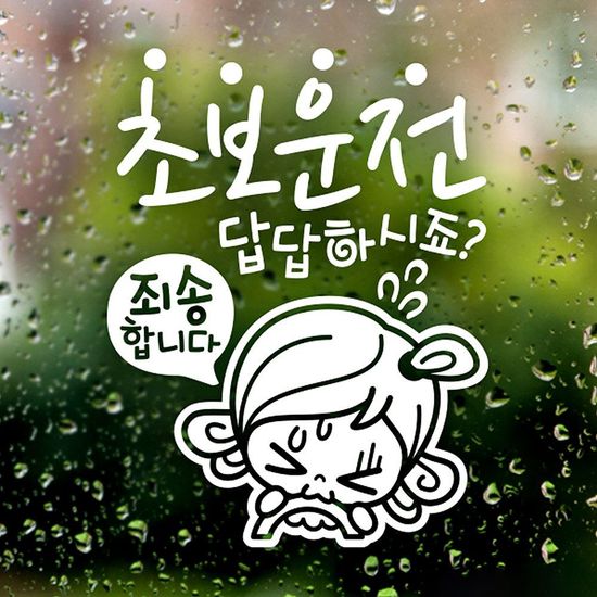 초보답답 초순이 초보운전스티커-반사(W495B4B)