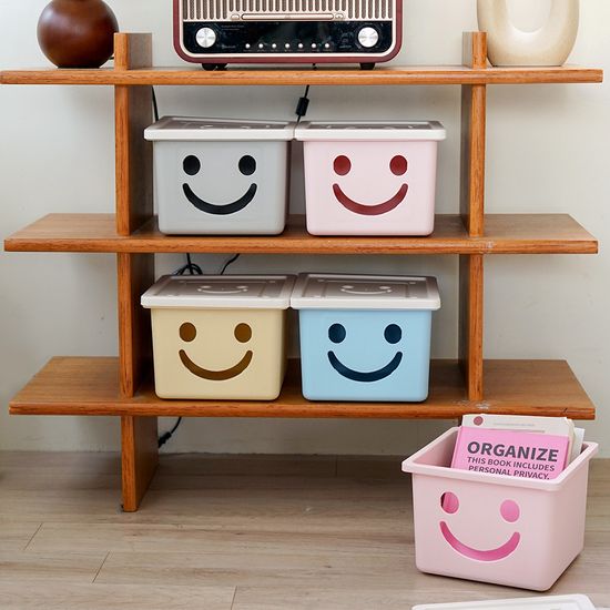 보노하우스 모던 미니 해피박스 2P 수납 정리함