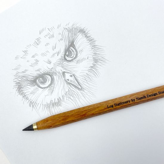 LOG IP Refill (2P) (IP-805, IP-605 전용)