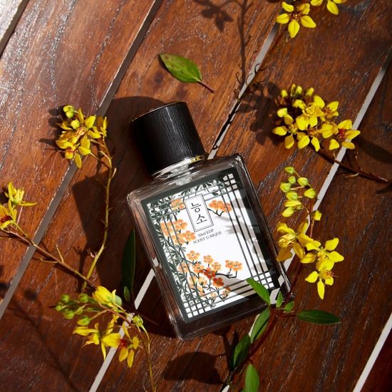 탐향 능소 오드퍼퓸