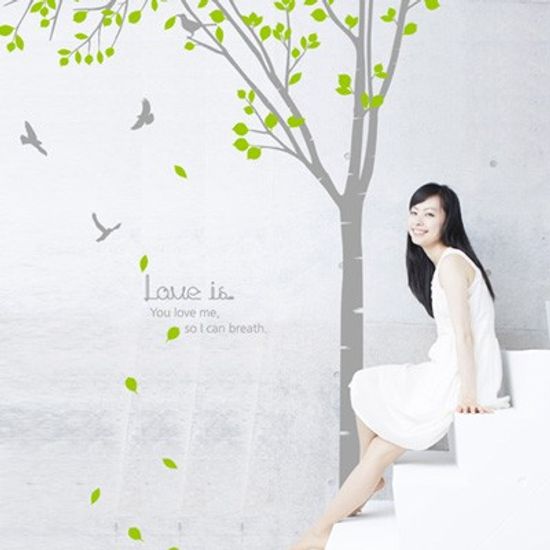 dc016-행복한 자작나무 숲 (1)