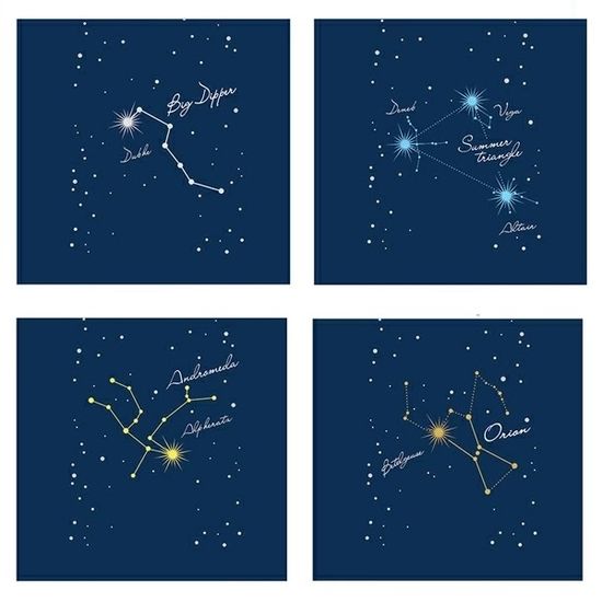 파이롯트 프릭션 0.5mm 슬림 3색볼펜 한정판 별자리