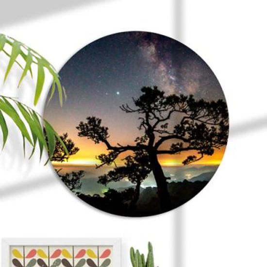 pb366-대형원형아크릴액자_은하수아래소나무