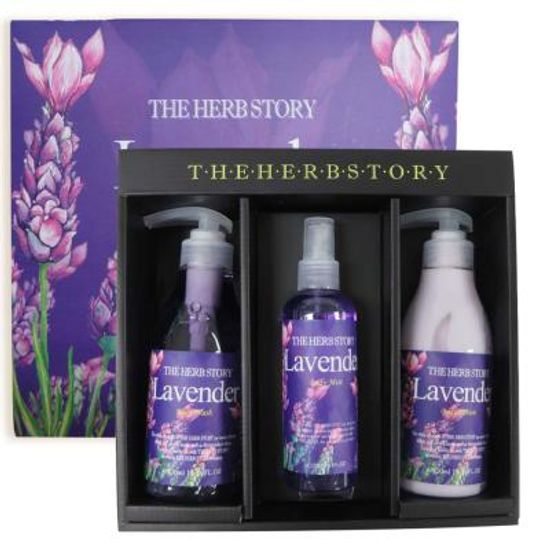 더허브스토리 바디케어 3종 선물 세트 C 라벤더
