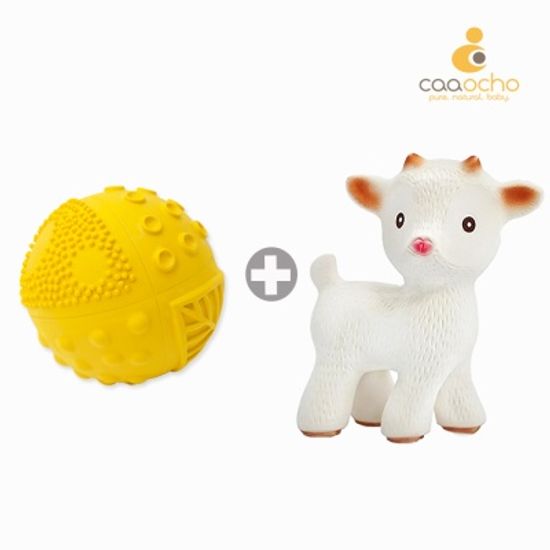 2종SET (치발기+감각볼)