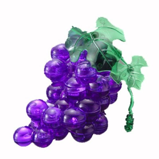 적포도 (Purple Grape)