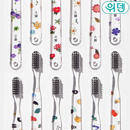 [먼슬리팩] 위덴 12가지 월별 칫솔