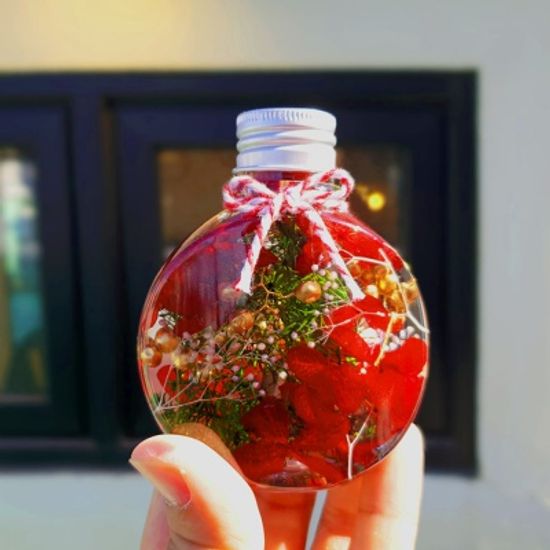 미니 트리 하바리움 만들기 패키지 DIY