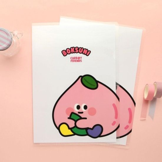 핑크풋 복수니홀더화일