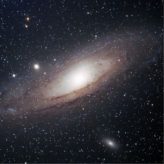 칼라버스 시즌2 No.16 안드로메다 Andromeda
