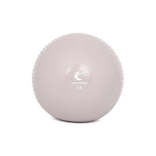 아이워너 소프트 필라테스 토닝볼 1.5KG 2개 SET
