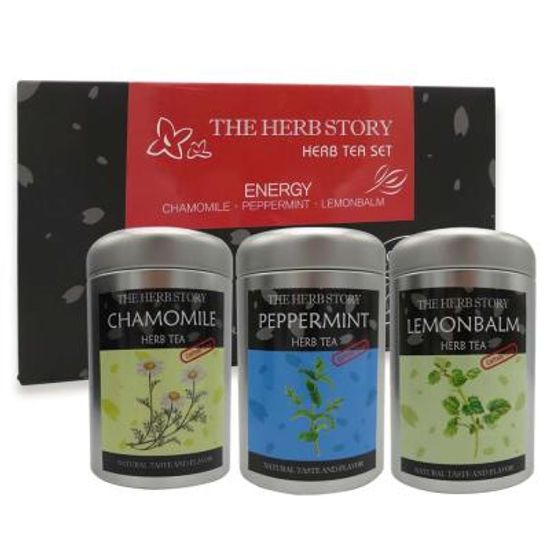 더허브스토리 캔 허브차 허브티 선물세트 에너지