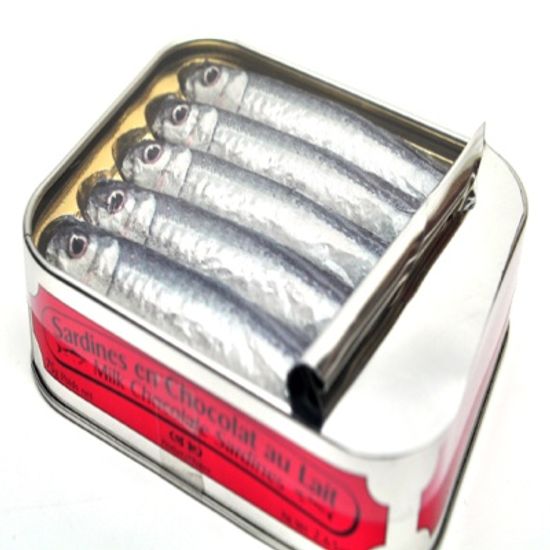Filet de Sardines (Can) 정어리 초콜릿 캔