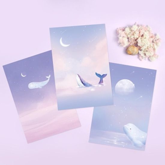 핑크풋 고래패드편지지