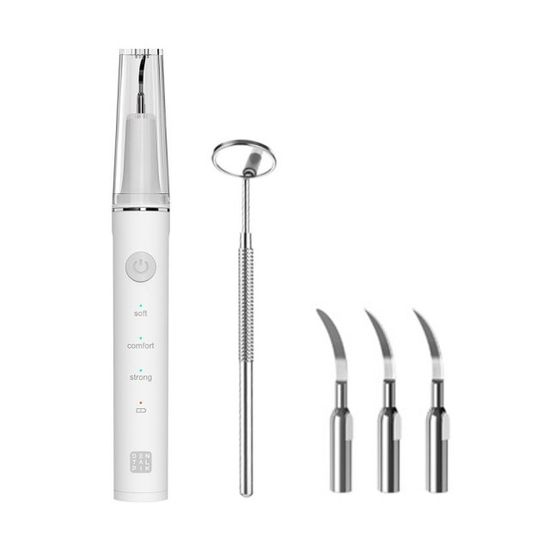 덴탈픽 스케일링 음파 치석 제거기세 셀프 구강청결기
