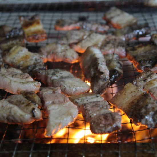 1초 쾌속 착화+프리미엄 숯  참화이어 올인원(800g)