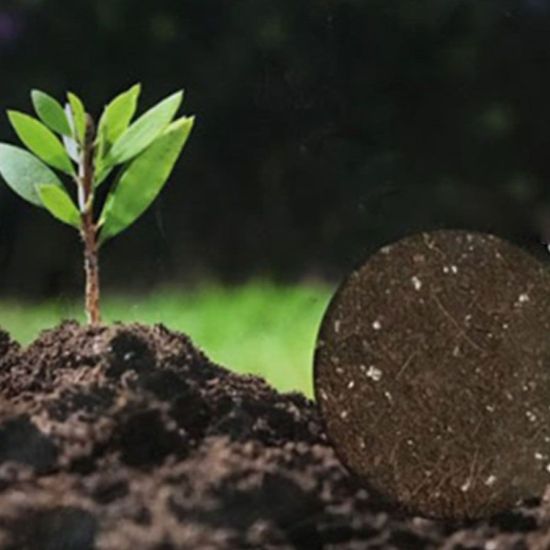 원예용 거름 가정용 작물 식물 영양흙 상토 3L[WDAFCB